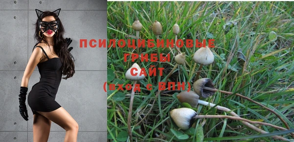 молекула духа Надым