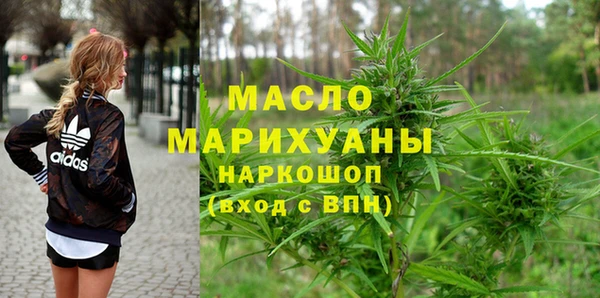 молекула духа Надым