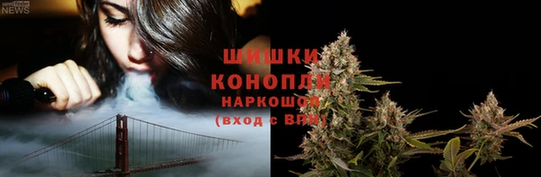 молекула духа Надым
