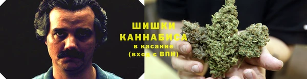 молекула духа Надым