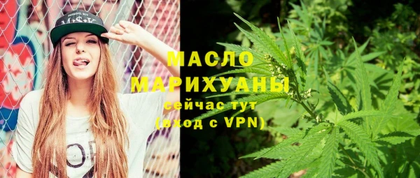 молекула духа Надым
