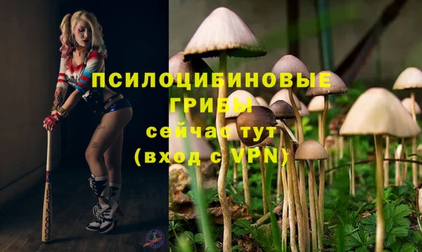 молекула духа Надым
