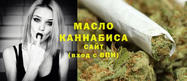молекула духа Надым