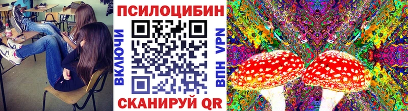 Галлюциногенные грибы GOLDEN TEACHER Липецк