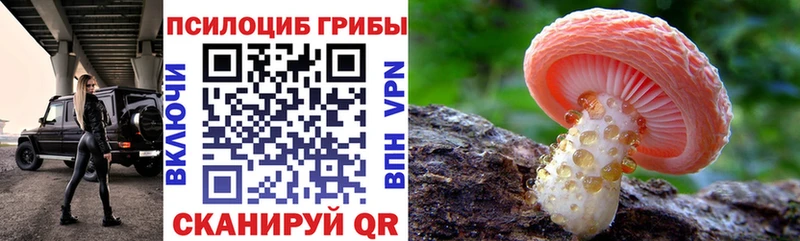 купить наркотики сайты Липецк Псилоцибиновые грибы мухоморы