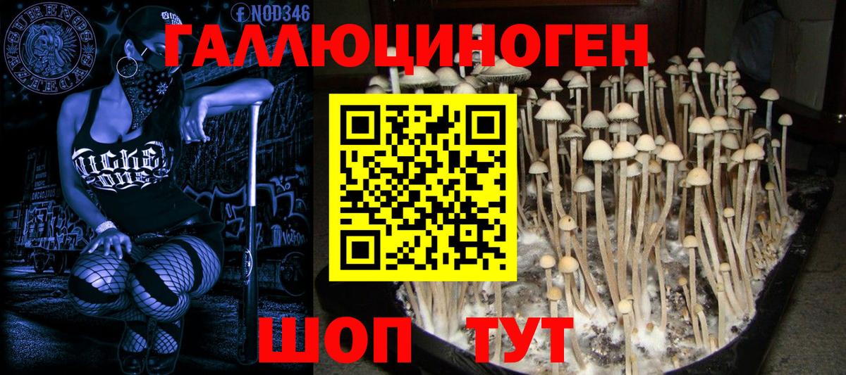 Псилоцибиновые грибы мухоморы  Псилоцибиновые грибы GOLDEN TEACHER  Вход с VPN  Липецк 