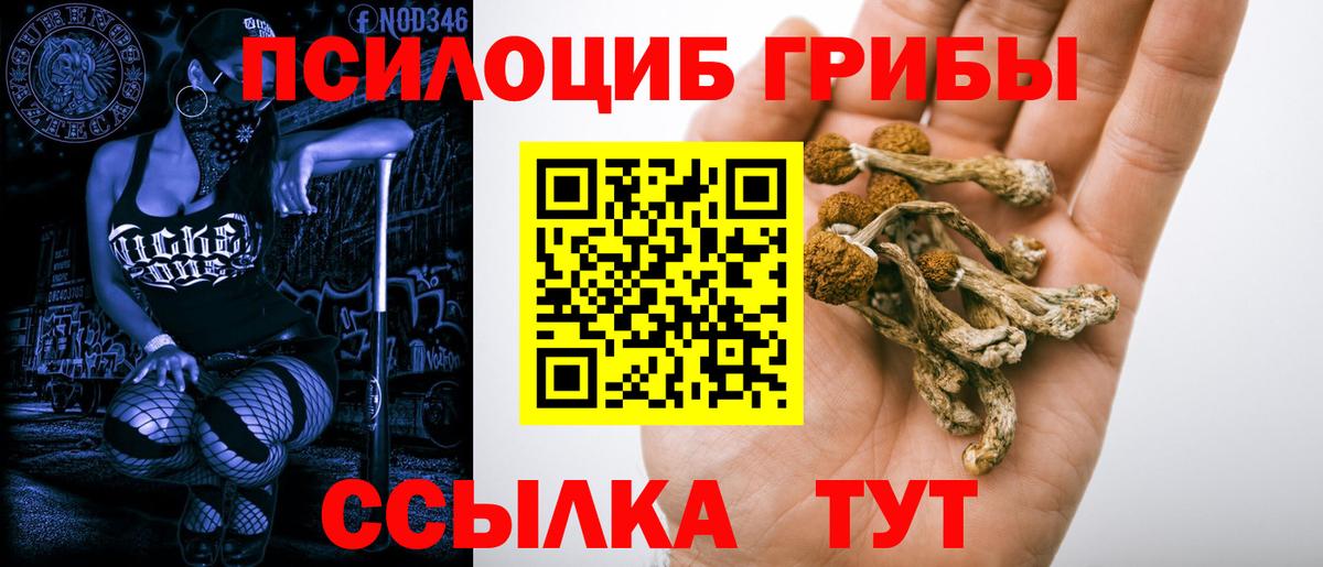 Псилоцибиновые грибы Magic Shrooms Липецк