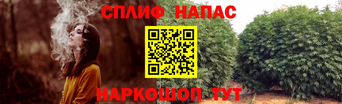 Бошки Шишки план  Бошки Шишки Amnesia  Вход с VPN  Липецк  Каннабис THC 21% 
